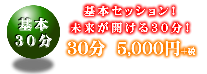 電話占い／30分11700円