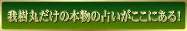 我樹丸だけの本物の占いがここにある！